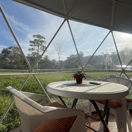 La Comarca River Glamping Dome Near Мануель-Антоніо Екстер'єр фото